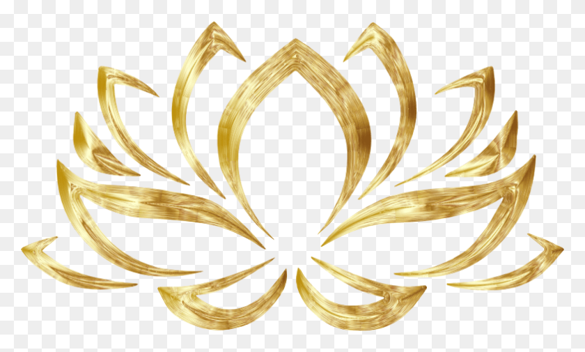 784x448 Medium Image Gold Lotus Flower, Floral Design, Pattern, Graphics HD PNG Download
