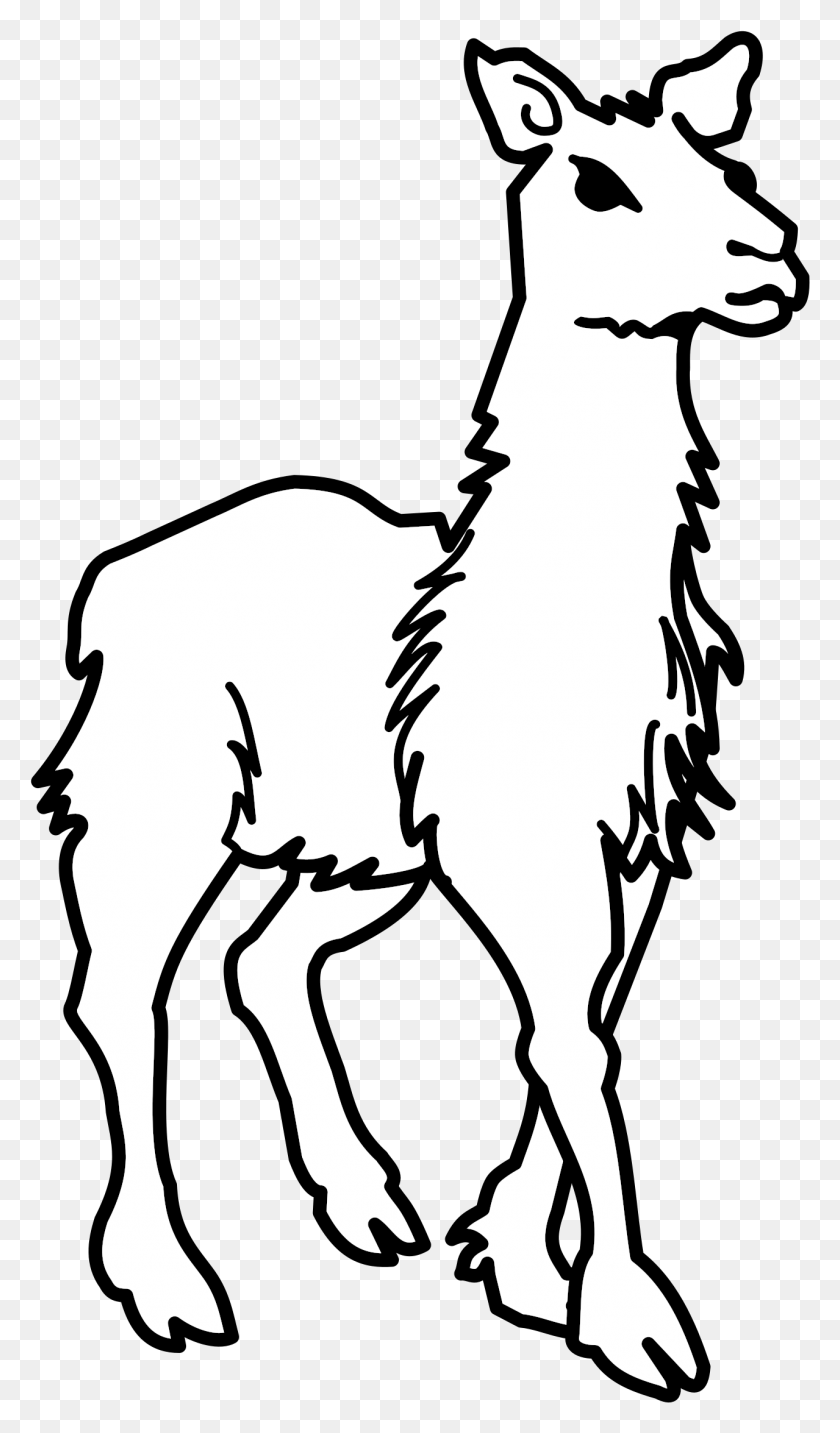 1279x2253 Черно-Белое Изображение Ламы, Трафарет, Млекопитающее Png Скачать
