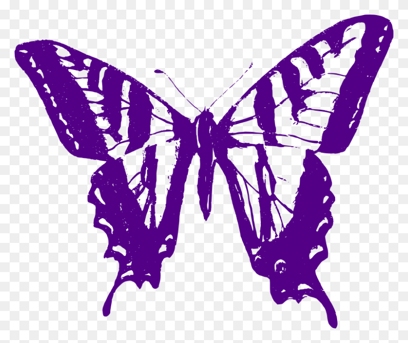 800x663 Png Изображение - Фиолетовая Императорская Бабочка, Насекомое, Беспозвоночные, Животное Png Скачать