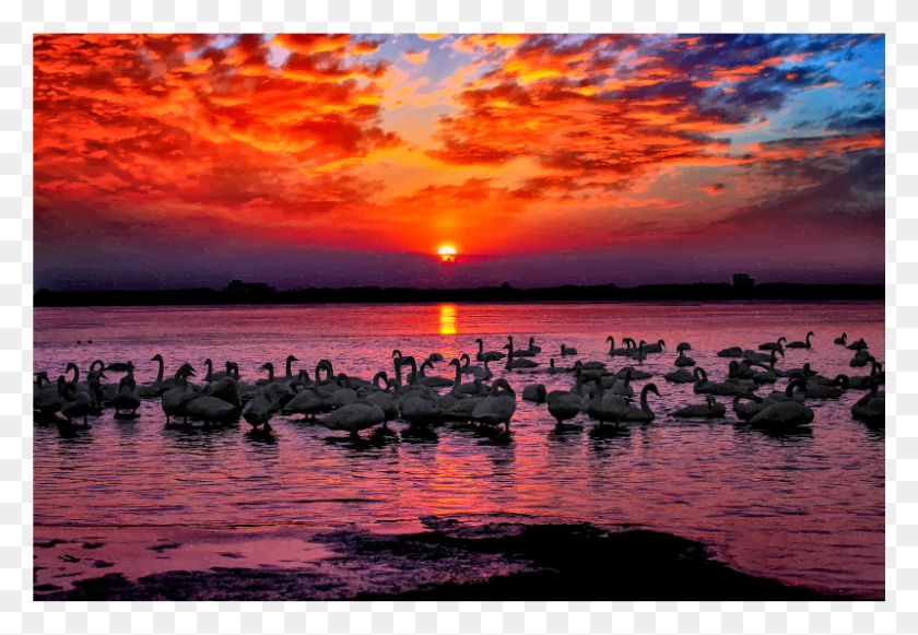 800x535 Medium Image Sunset, Nature, Outdoors, Sky HD PNG Download
