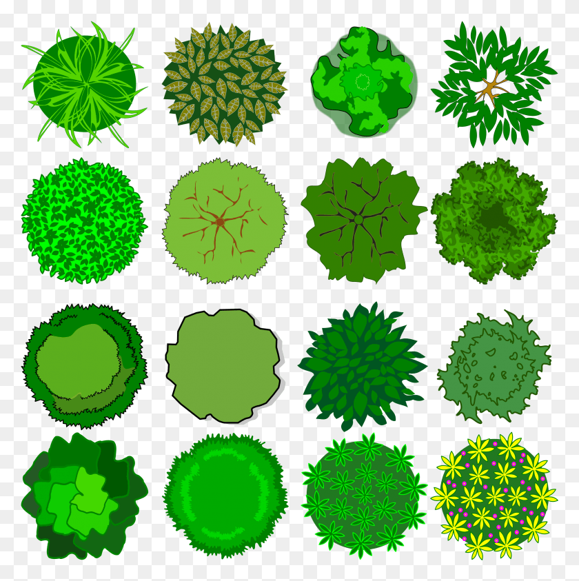 2365x2376 Medium Image Tree Symbol Top View, Green, Rug, Pattern Descargar Hd Png