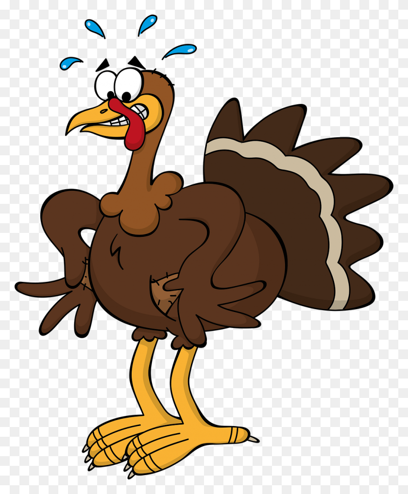 1042x1280 Medium Image Turkey Cartoon, Bird, Animal, Dodo HD PNG Download