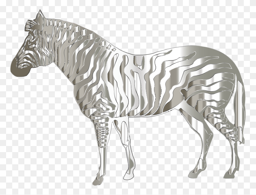 774x581 Medium Image White Zebra, Horse, Mammal, Animal HD PNG Download