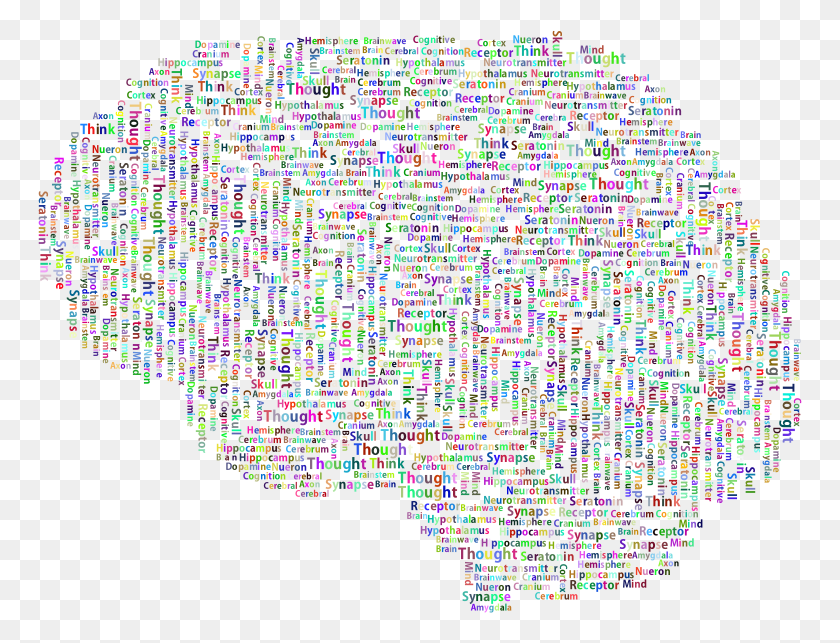 764x583 Medium Image Word Cloud Brain, Rug, Maze, Labyrinth HD PNG Download
