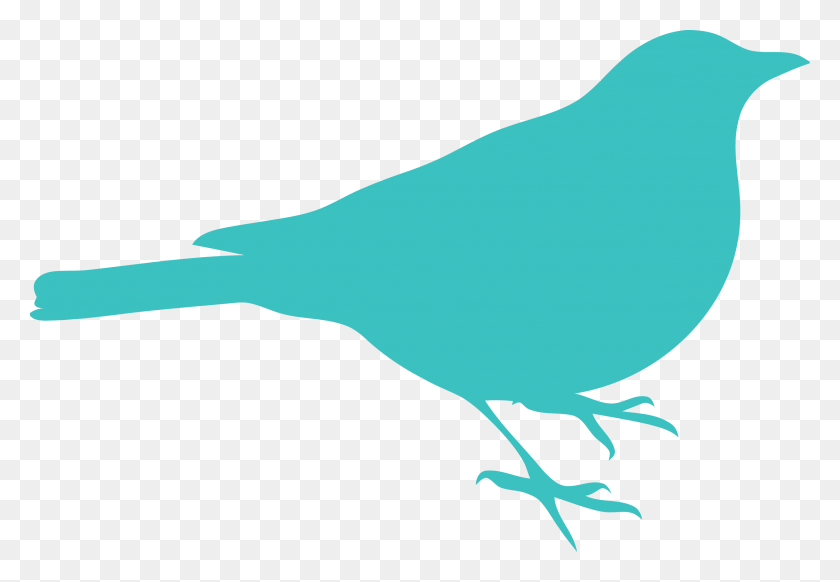 2501x1676 Medium Turquoise Bird Clipart Robin Bird Silhouette, Animal, Canary, Finch HD PNG Download