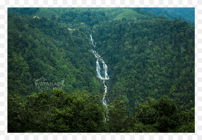 948x632 Водопады Минмутти Дерево, Природа, На Открытом Воздухе, Пейзаж Hd Png Скачать