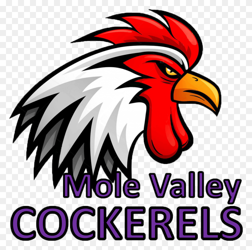940x932 Meet The Mole Valley Cockerels Rooster, Bird, Animal, Chicken HD PNG Download
