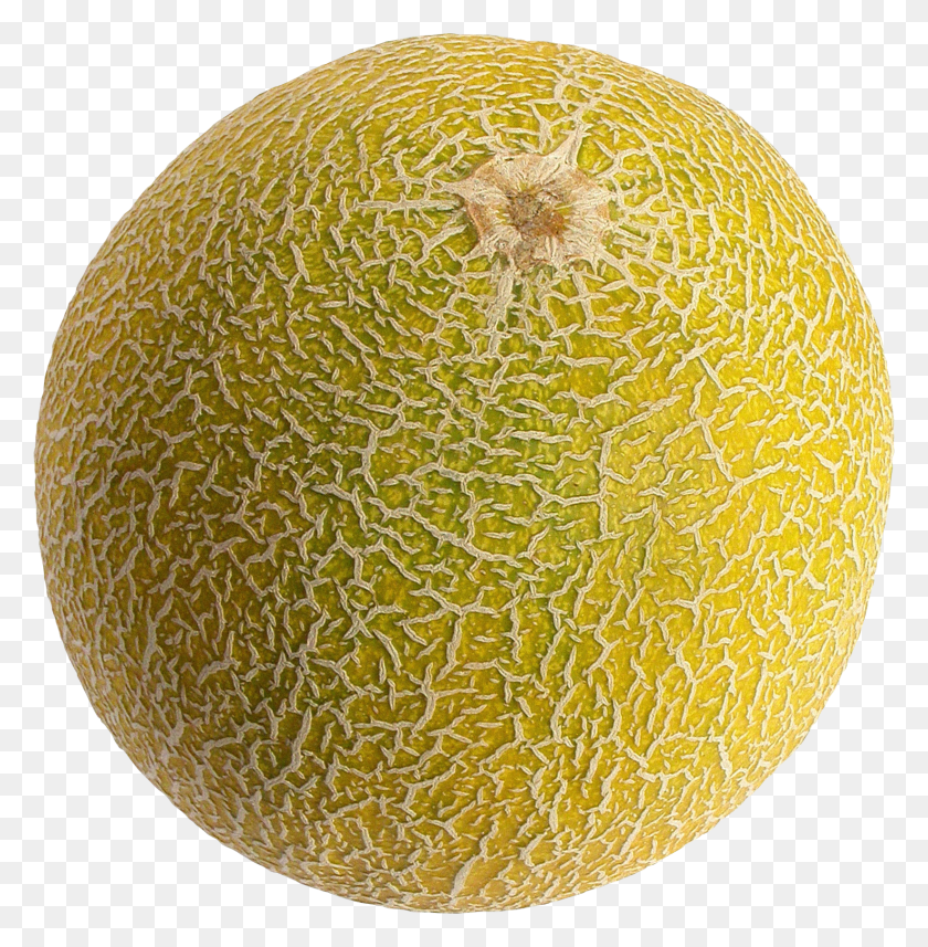 1644x1680 Melon Melon .Png Hd Png Descargar