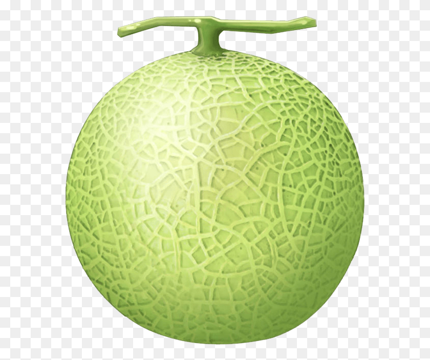 587x643 Melon Transparent Melon, Tennis Ball, Tennis, Ball HD PNG Download