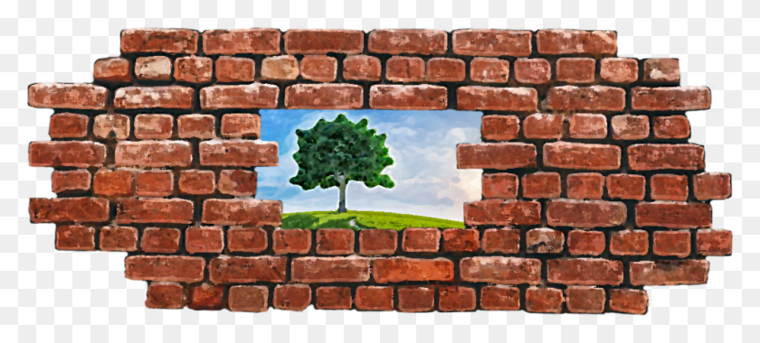 1000x411 Members Of The, Brick, Wall, Plant HD PNG Download