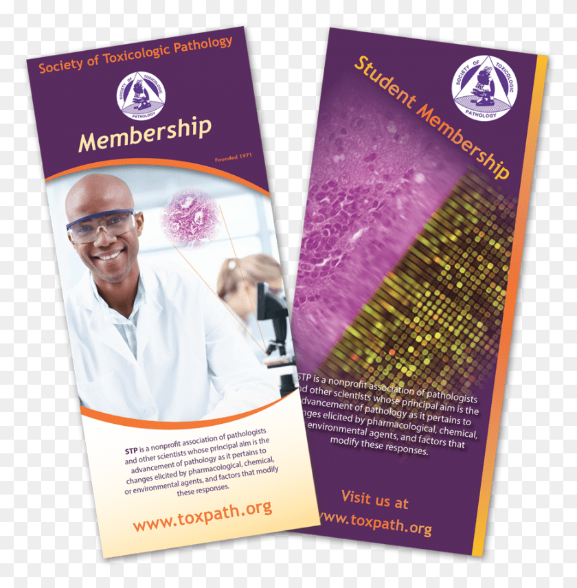 870x888 Membership Application Flyer, Poster, Paper, Advertisement HD PNG Download