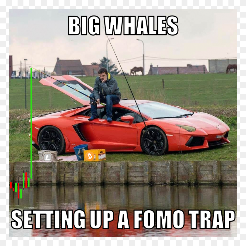 1114x1114 Meme Challenge No Aventador Fishing, Car, Vehicle, Transportation HD PNG Download