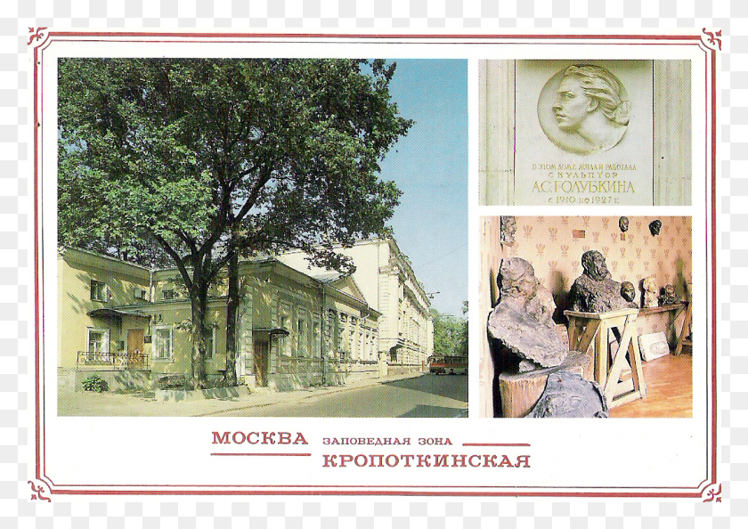 1079x740 Memria Das Ondas Curtas Tree, Envelope, Mail, Postcard HD PNG Download