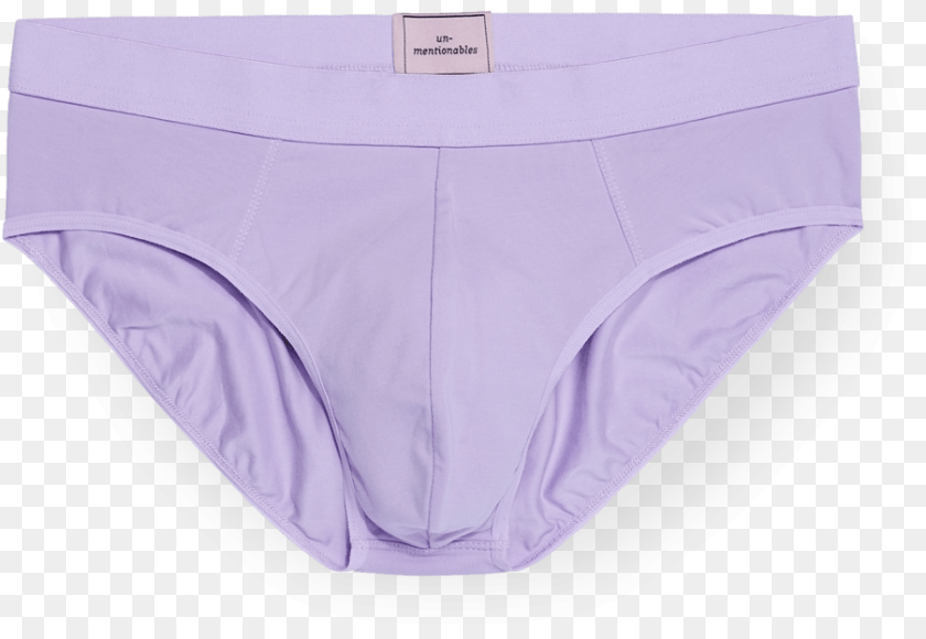 903x623 Men S Lilac Brief Underpants, Clothing, Lingerie, Panties, Underwear Clipart PNG