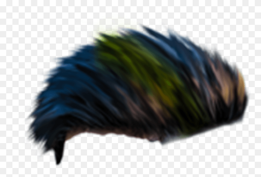 1404x917 Mens Hair For Editing Whatsapp Ultra Stickers Parrot, Bird, Animal, Ornament HD PNG Download