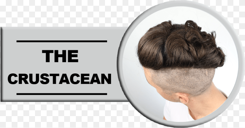 929x488 Mens Undercut Hairstyles Lace Wig, Photography, Adult, Person, Neck Sticker PNG