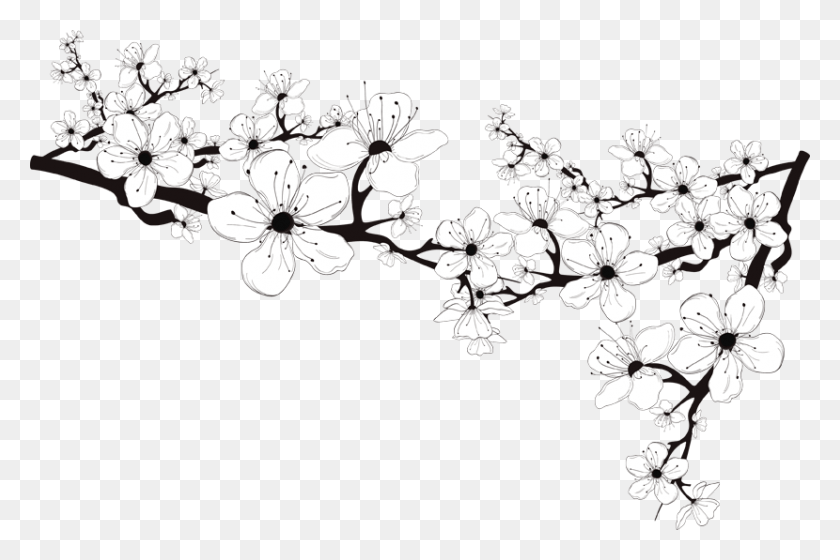 830x533 Меню Черно-Белые Цветы, Растения, Цветы, Графика Hd Png Скачать