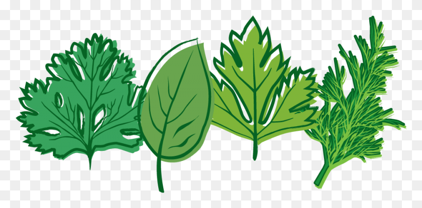 936x427 Menu Clip Art Herbs, Leaf, Plant, Vase HD PNG Download