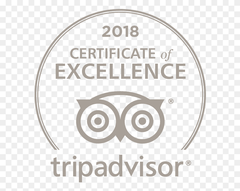 602x609 Menu Tripadvisor 2018 Certificate Of Excellence White, Label, Text, Logo HD PNG Download