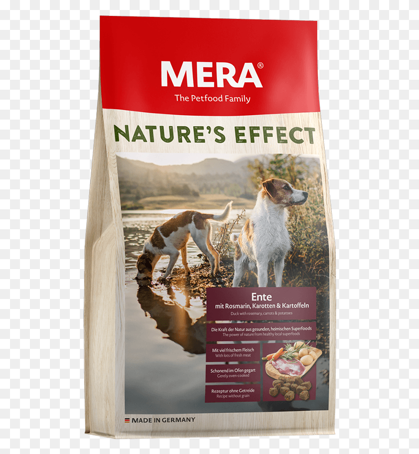 508x851 Mera Nature39s Effect, Poster, Advertisement, Flyer HD PNG Download