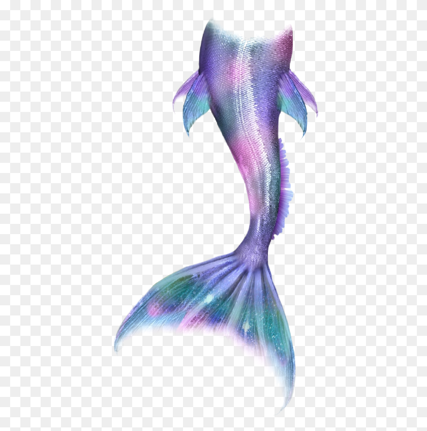 414x787 Mermaid Mermaidlife Mermaidtail Mermaids Merman Tail Glitter Transparent Mermaid Tail, Bird, Animal, Sea Life HD PNG Download
