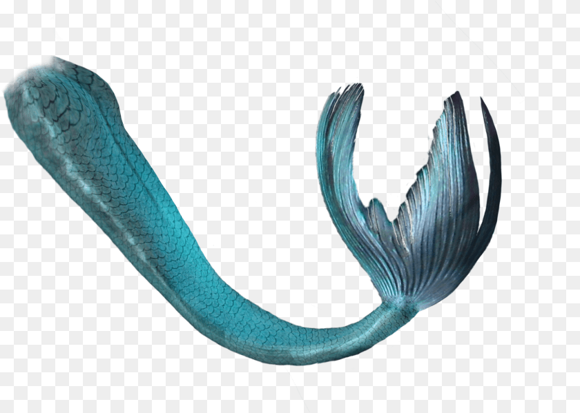 1638x1169 Mermaid Tail Blue Green Mermaid Tail Animal, Reptile, Snake, Sea Life Transparent PNG
