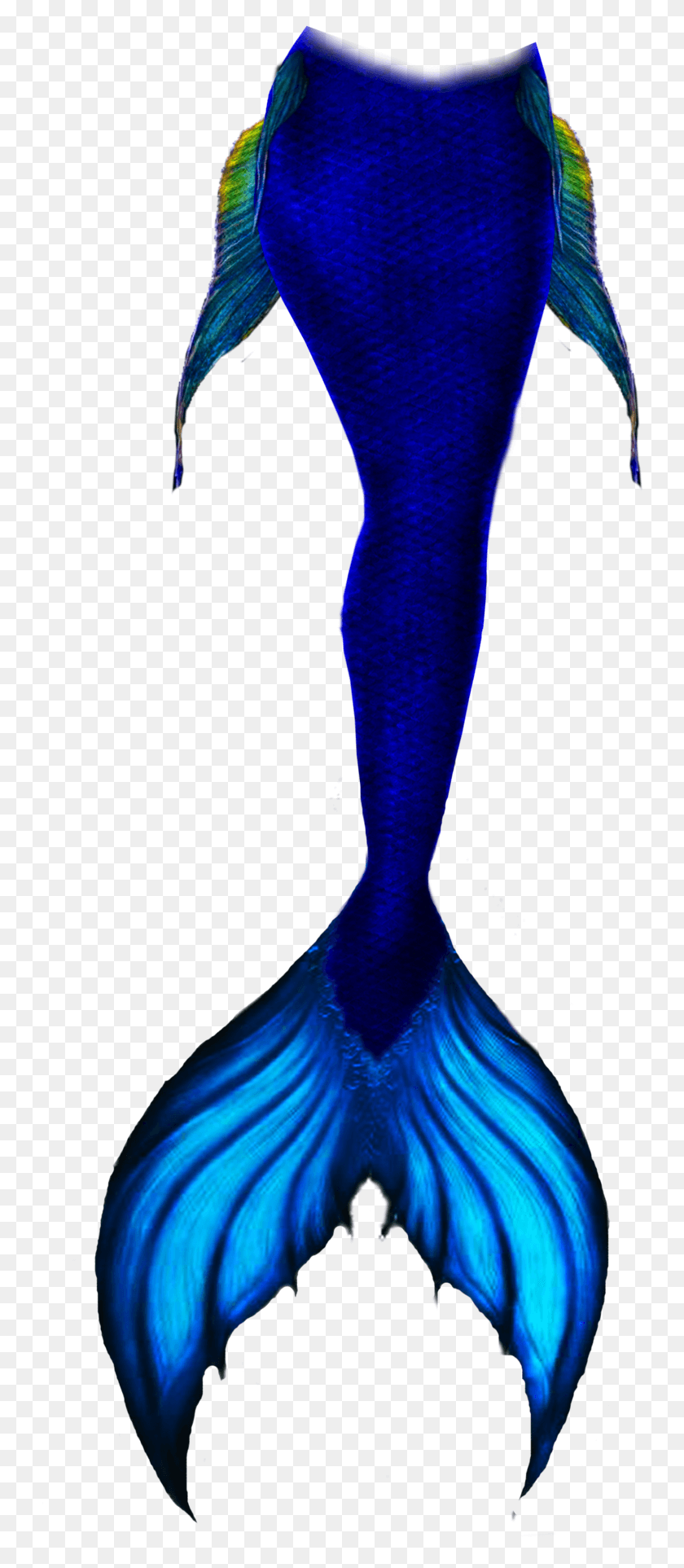 738x1865 Mermaidtail Mermaid Sirentail Remixit Drawings Of Mermaid Tails, Clothing, Apparel, Bird HD PNG Download