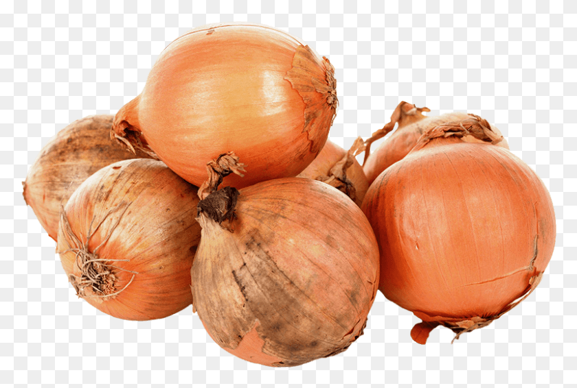 799x519 Message 8 Onions, Plant, Vegetable, Food HD PNG Download