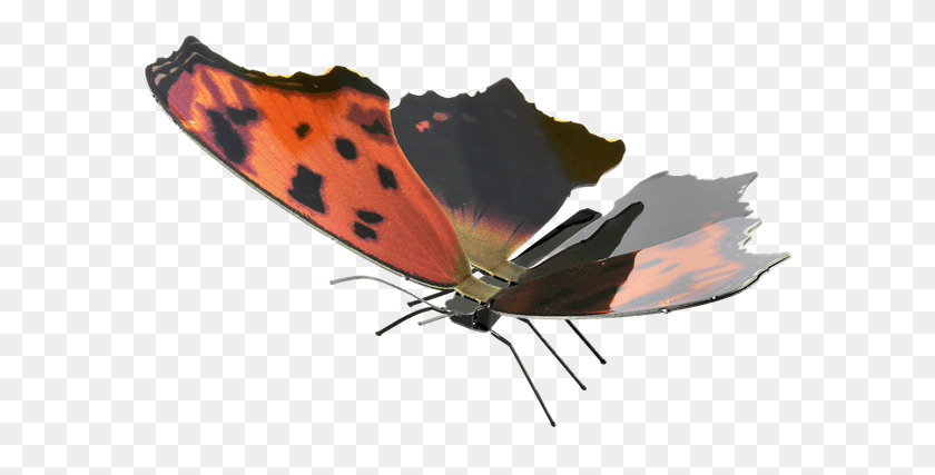 585x367 La Tierra De Metal Mariposas Coma, Mariposa, Insecto, Invertebrado Hd Png