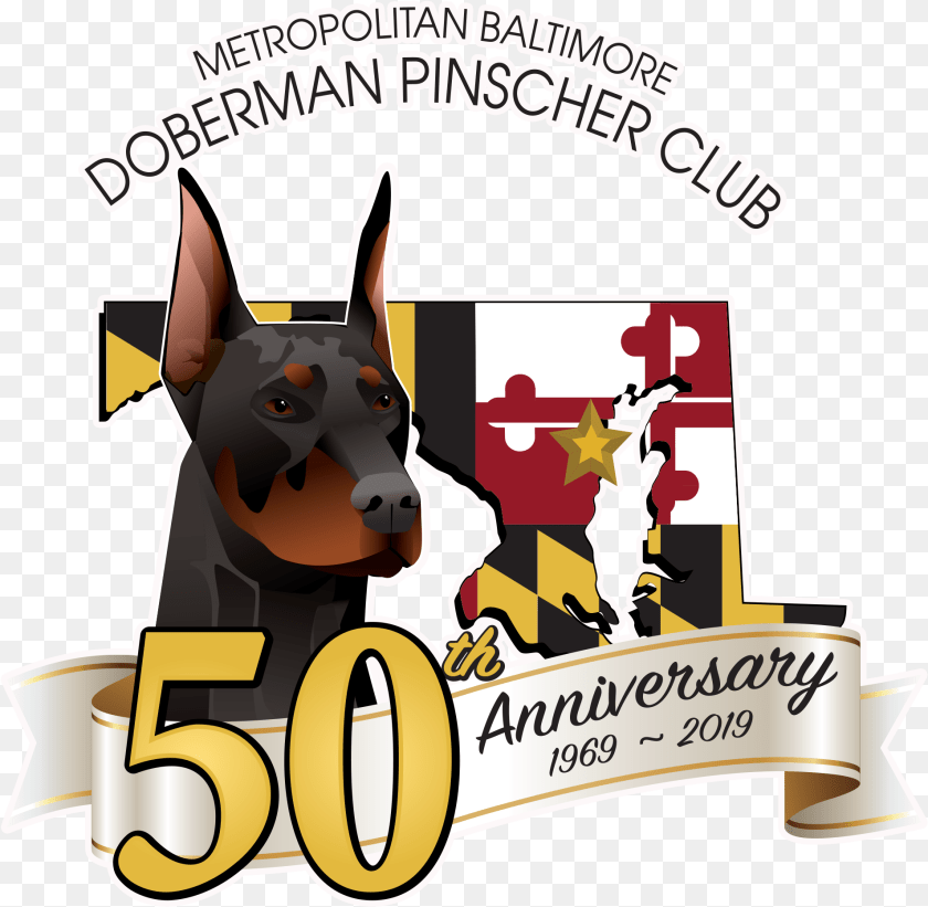 1908x1864 Metropolitan Baltimore Doberman Pinscher Club Dobermann, Animal, Canine, Mammal, Pet Clipart PNG
