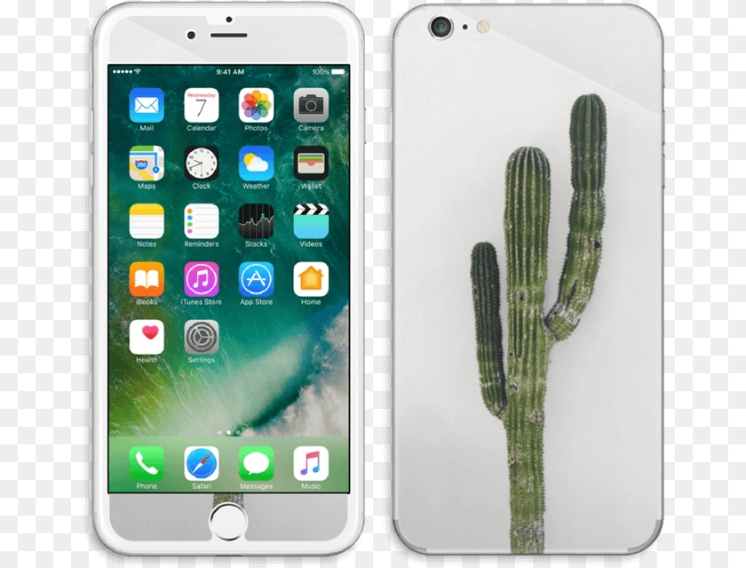 660x639 Mexican Cactus Skin Iphone 6 Plus, Electronics, Mobile Phone, Phone, Plant Sticker PNG