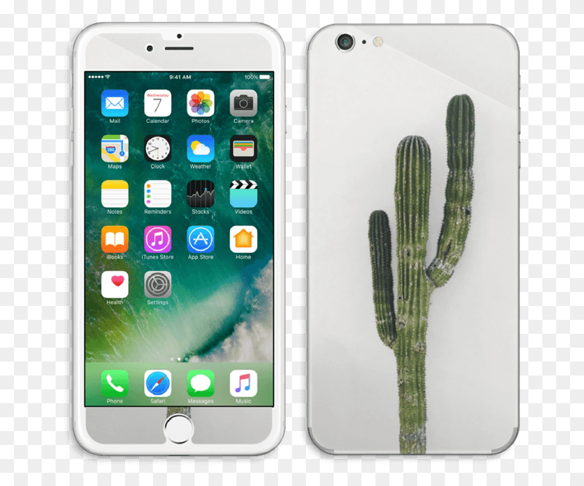 660x639 Descargar Png Piel De Cactus Mexicano Iphone 6 Plus Cara De Iphone, Teléfono Móvil, Electrónica Hd Png