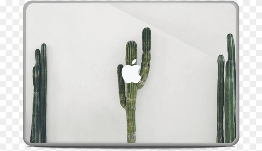 697x484 Mexican Cactus Skin Macbook Pro 17 San Pedro Cactus, Plant Transparent PNG