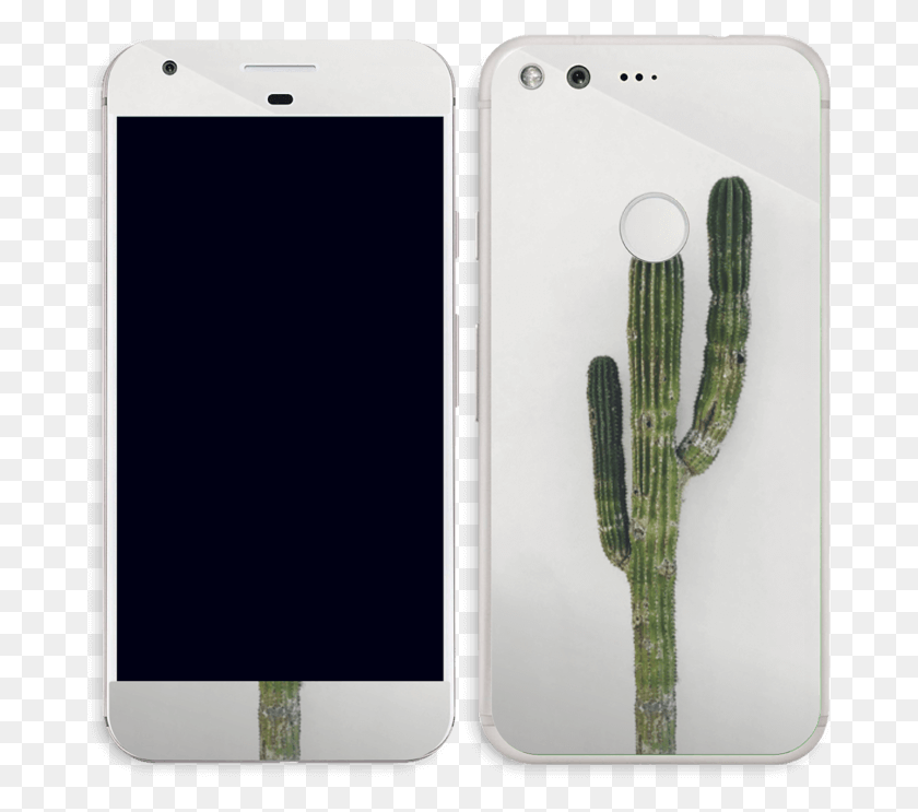 681x683 Mexican Cactus Skin Pixel Hedgehog Cactus, Mobile Phone, Phone, Electronics HD PNG Download
