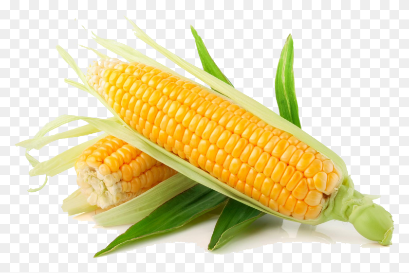 1840x1184 Мексиканская Кукуруза В Початках Кукуруза Сладкая, Растение, Овощи, Еда Hd Png Скачать