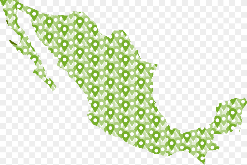 1031x691 Mexico Mapa, Pattern, Leaf, Plant, Baby Transparent PNG