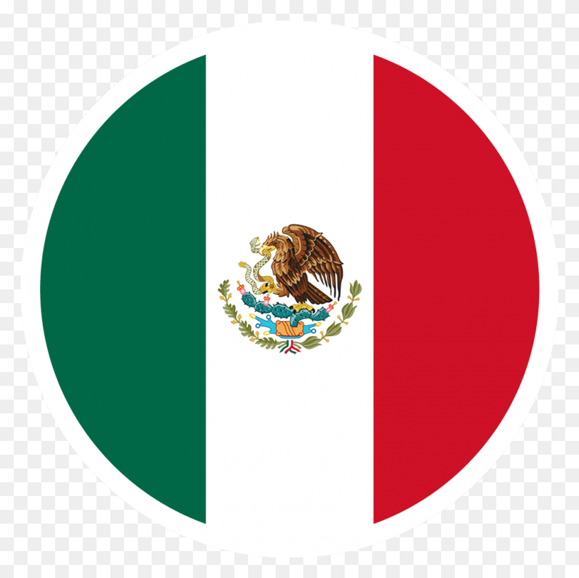 1000x1000 Mexico National Football Team Logo Mexico Flag Icon, Armor, Honey Bee, Bee HD PNG Download
