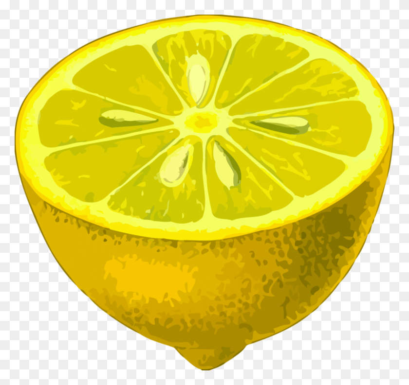 799x750 Meyer Lemonbitter Orangeplant Low Resolution, Plant, Citrus Fruit, Fruit HD PNG Download