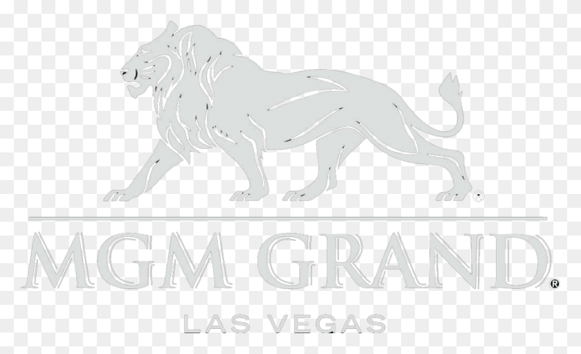1024x593 Mgm The Mgm Grand Is The 3rd Largest Single Hotel In Mgm Grand Detroit Logo, Lion, Wildlife, Mammal HD PNG Download