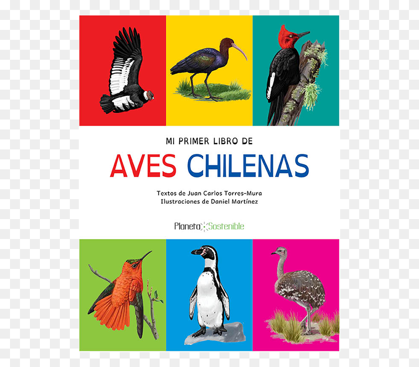 525x677 Mi Primer Libro De Aves Chilenas Aves De Chile Para, Птица, Животное, Реклама Hd Png Скачать