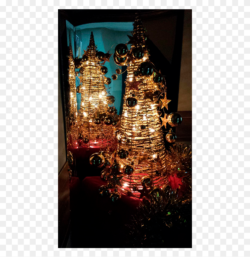 451x801 Mi Rincn Favorito De La Navidad Рождественские Огни, Елка, Растение, Рождественская Елка Hd Png Скачать