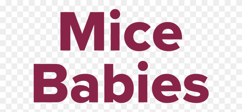 610x329 Mice Babies Label Graphic Design, Word, Text, Alphabet HD PNG Download