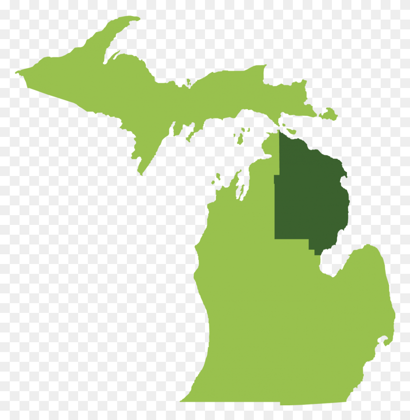 1297x1329 Michigan, Map, Diagram, Plot HD PNG Download