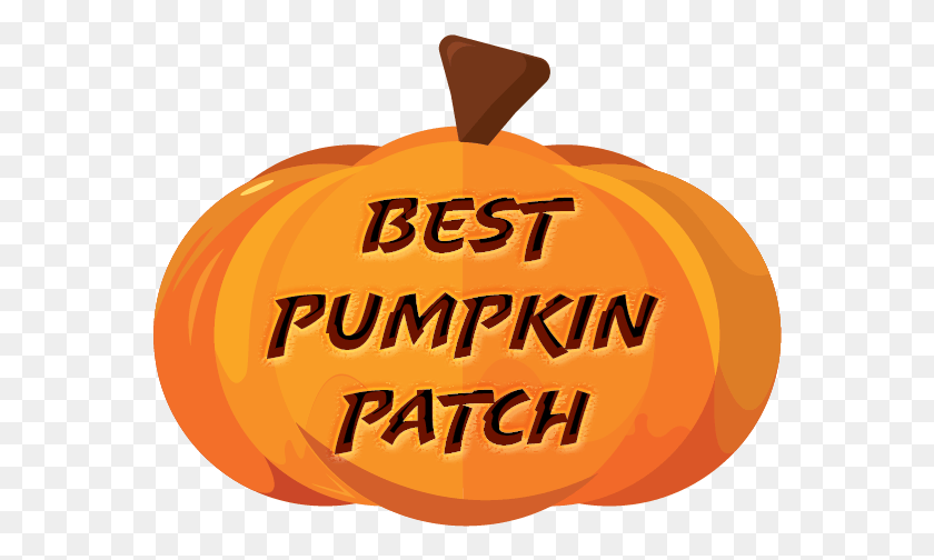 566x444 Michigan National Pumpkin Patch Awards Voting Jack O39 Lantern, Pumpkin, Vegetable, Plant HD PNG Download