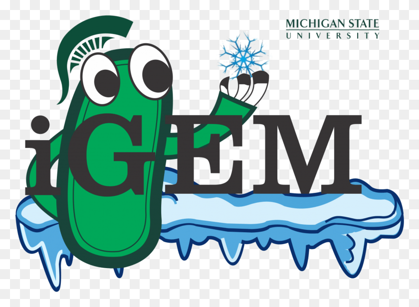 2499x1783 Michigan State University, Text, Alphabet, Outdoors HD PNG Download
