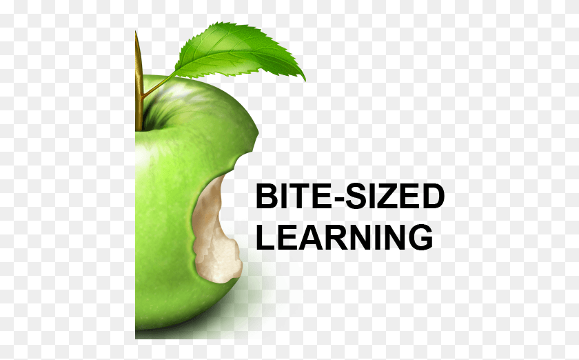 450x462 Microlearning That Boosts Performance Apple Icon, Plant, Green, Peel HD PNG Download