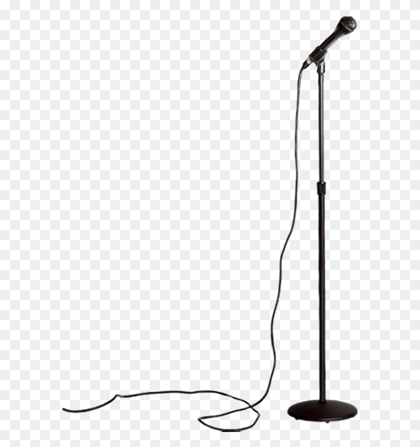 590x834 Microphone Stand Transparent Background Free Microphone, Lighting, Bow, Green HD PNG Download