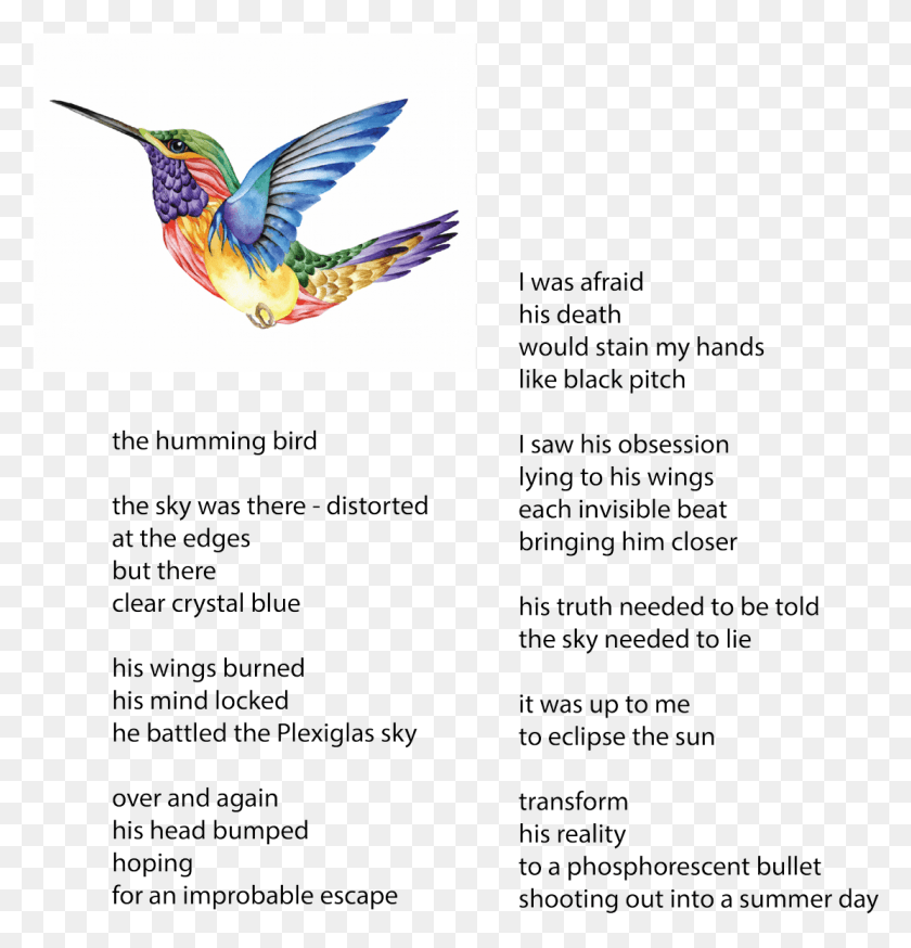 1111x1160 Micropoetography Micropoetry Poetry Poetography, Bee Eater, Bird, Animal Descargar Hd Png