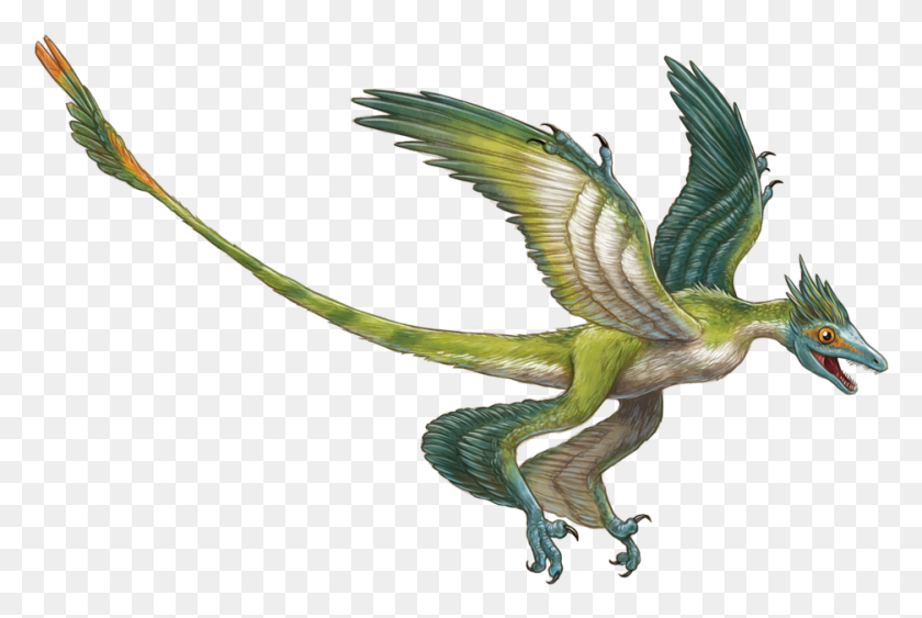 937x605 Microraptor Pictures Microraptor Dinosaur, Bird, Animal, Flying HD PNG Download