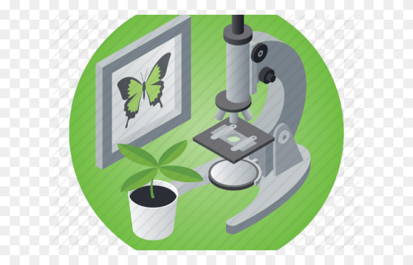 640x480 Microscope Clipart Plant Science Microscope Plant Icon, Electronics, Seed, Grain HD PNG Download